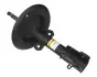 Амортизатор передній Chrysler Voyager, Dodge Caravan 95-01 (газ.) raiso RS030645