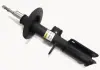 Амортизатор передній пр. BMW X5 E53 00-06 3.0-4.6 (газ.) raiso RS290239