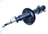 Амортизатор передній Scudo/Expert 97-03 (газ.) raiso RS310767