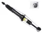 Амортизатор передній Toyota Land Cruiser Prado 02-10 (газ,) raiso RS312214