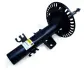 Амортизатор передній T5 03- (газ.) raiso RS313327