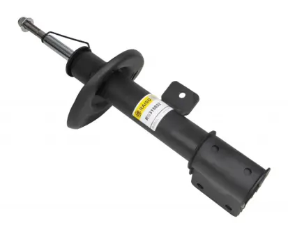 Амортизатор передній пр. Citroen C4 II, DS4, Peugeot 3008 09- (газ.) raiso RS315852 Пежо 3008
