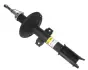 Амортизатор передній Duster (4x4) 10- (газ.) raiso RS316289