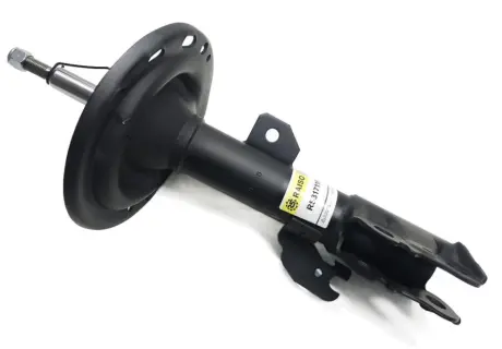 Передний амортизатор (стойка) raiso RS317116