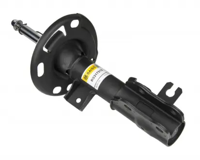 Передний амортизатор (стойка) raiso RS317512