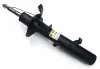 Амортизатор передній пр. Land Rover Freelander 06-14 (газ.) raiso RS335829