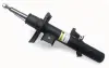 Амортизатор передній лів. Land Rover Freelander 06-14 (газ.) raiso RS335830