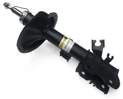 Передний амортизатор (стойка) raiso RS339055