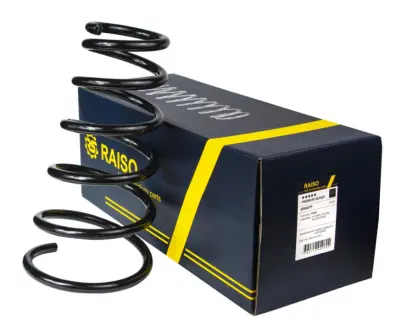 Задня пружина Raiso SR060TP