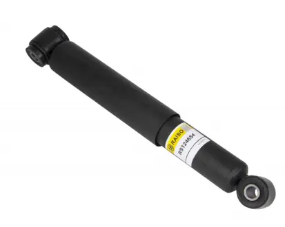 Задний амортизатор (стойка) raiso RS124654 Фольксваген