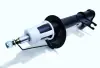 Задний амортизатор (стойка) raiso RS317139
