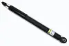 Задний амортизатор (стойка) raiso RS317384