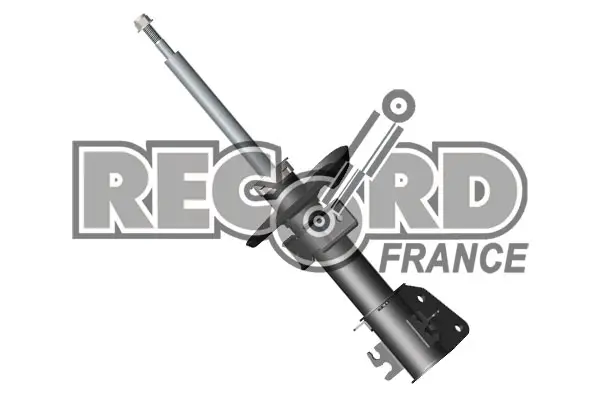 Масляний амортизатор RECORD FRANCE 104832 (фото 1)