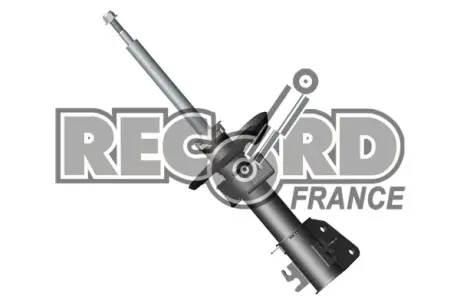 Масляний амортизатор RECORD FRANCE 104832