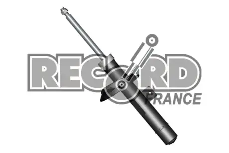 Передний амортизатор (стойка) RECORD FRANCE 104359 Пежо 206