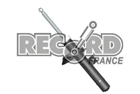Передний амортизатор (стойка) RECORD FRANCE 104372 Пежо 206