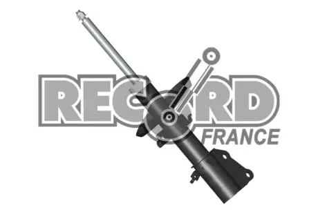 Передний амортизатор (стойка) RECORD FRANCE 10 4651