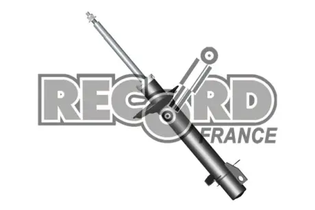 Передний амортизатор (стойка) RECORD FRANCE 104717