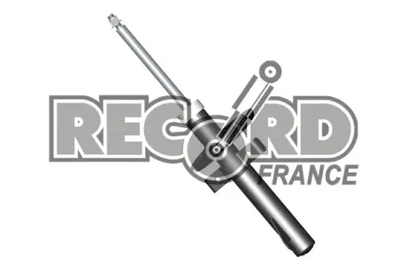 Передний амортизатор (стойка) RECORD FRANCE 334588 Рено Гранд Сценик