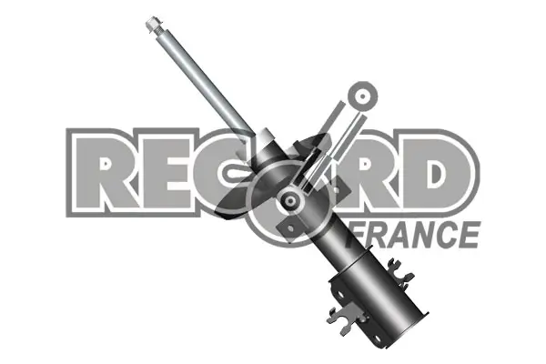 Передний амортизатор (стойка) RECORD FRANCE 334649