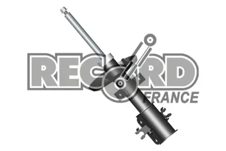 Передний амортизатор (стойка) RECORD FRANCE 334649