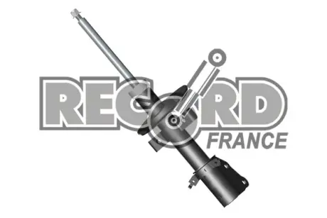 Передний амортизатор (стойка) RECORD FRANCE 334735 Рено Кенго 2