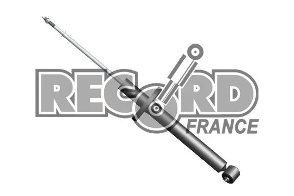 Задний амортизатор (стойка) RECORD FRANCE 333841