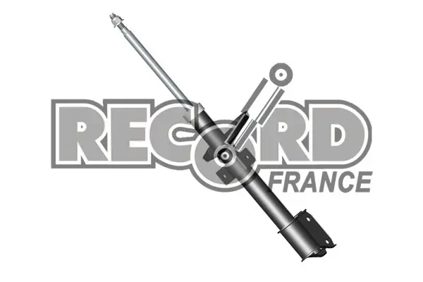 Задний амортизатор (стойка) RECORD FRANCE 334704