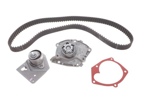 ГРМ к-кт 1.9Dci Laguna II Megane II Scenic II Nissan F9Q (с помпой) renault 119A01812R на Рено Лагуна 2