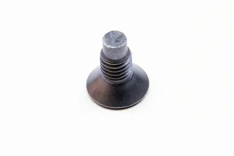 Болт кріплення гальмівного диска Renault 7703004176
