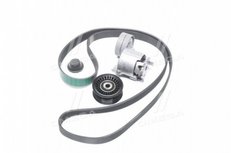 Комплект пасу поліклинового GRAND SCENIC III, MEGANE CC, MEGANE III, SCENIC III 1.4 02.09- renault 117207538R