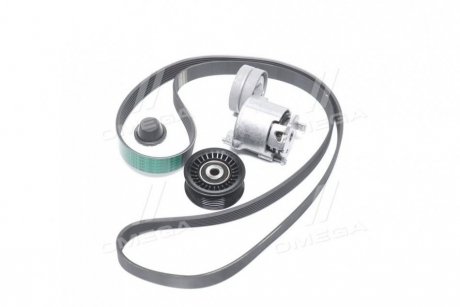 Комплект пасу поліклинового GRAND SCENIC III, MEGANE CC, MEGANE III, SCENIC III 1.4 02.09- renault 117207538R