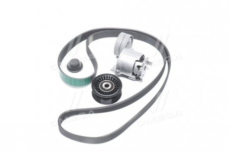Комплект пасу поліклинового GRAND SCENIC III, MEGANE CC, MEGANE III, SCENIC III 1.4 02.09- renault 117207538R