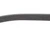 Комплект ремня генератора renault 117202506R
