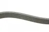 Комплект ремня грм renault 117203694R