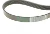 Комплект ремня грм renault 117203694R