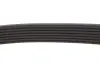 Комплект ремня renault 117200334R