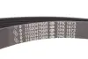 Комплект ремня renault 117200334R