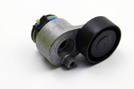 Натяжитель ремня генератора Kangoo 1.5dCi 01-05 (+AC) renault 8200048486 на Рено Cимбол