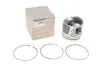 Поршень Renault 120A12695R (фото 1)