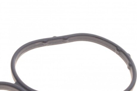 Прокладка корпуса маслянного фильтра Trafic 2.0 dCi 06- renault 7701062113