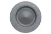 РџРѕСЂС€РµРЅСЊ renault 120A18655R