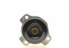 Водяна помпа Nissan/Opel/ Master 2,3dci 10- renault 210105857R