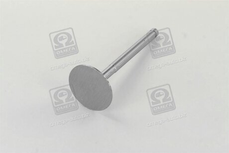 Впускной клапан rider 74061007010