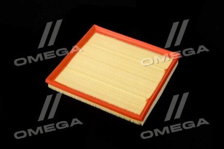 Фільтр повітряний ExtraClean BMW rider REC200379