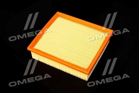 Фільтр повітряний ExtraClean FORD rider REC130078