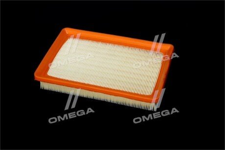 Фільтр повітряний ExtraClean HYUNDAI, KIA rider REC130305