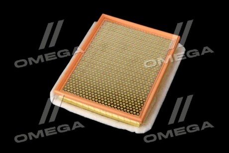 Фільтр повітряний ExtraClean OPEL rider REC130090