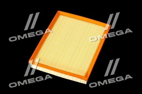 Фільтр повітряний ExtraClean OPEL rider REC130226