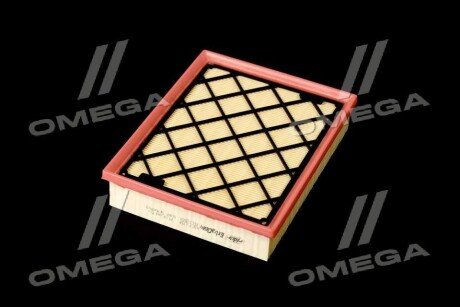 Фільтр повітряний ExtraClean Professional rider REC130009